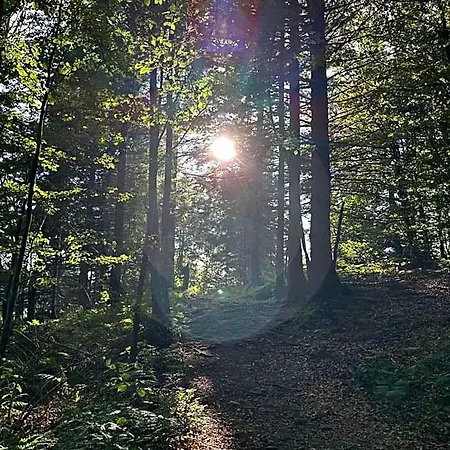 Bergwelt Kandel & Eventlocation Hotel
