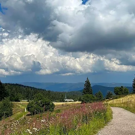 Bergwelt Kandel & Eventlocation